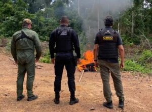 POLICIA-FEDERAL-ICMBIO